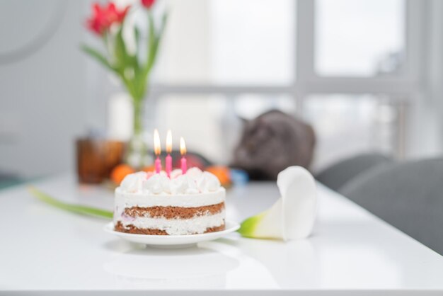 Foto tarta de cumpleaños con velas rosas tarta de queso con frambuesas