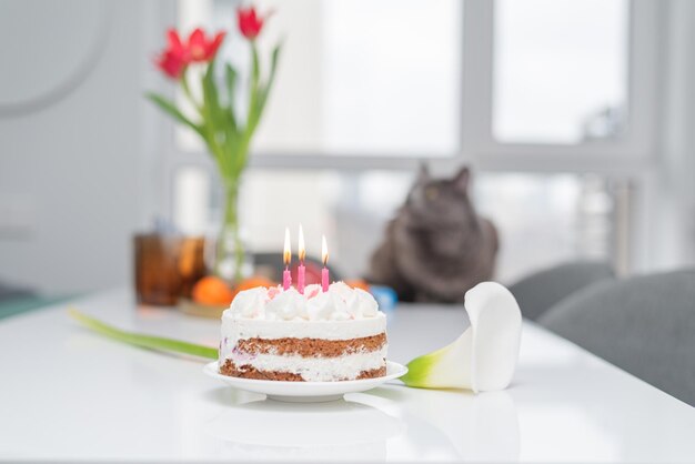 Tarta de cumpleaños con velas rosas Tarta de queso con frambuesas