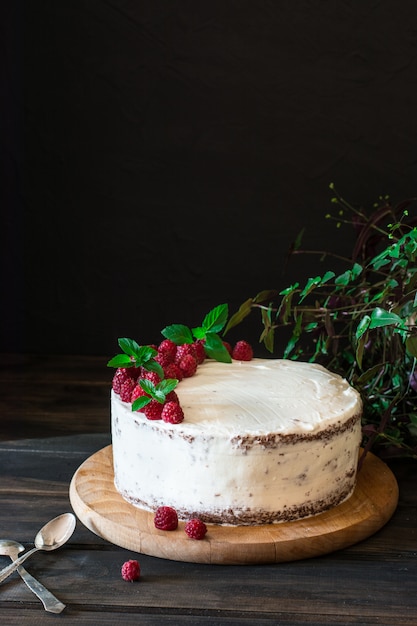 Tarta de fruta cremosa. Tarta de frambuesa con chocolate. Pastel de chocolate. Decoración de menta. Tarta de queso.