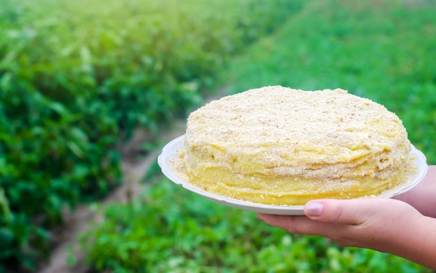 Tarta de napoleón en manos femeninas. comida dulce. recién preparados. fondo verde