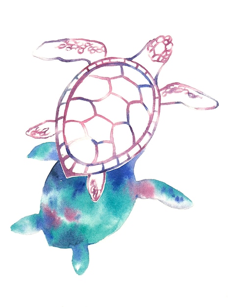 Tartaruga pintada à mão em aquarela