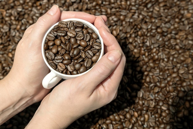 Tasse gefüllt mit Kaffeebohnen in weiblichen Händen