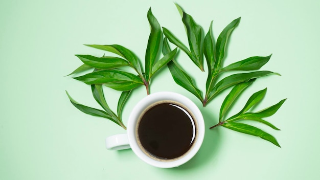 Tasse Kaffee auf grünem Hintergrund Saftige grüne Blätter herum