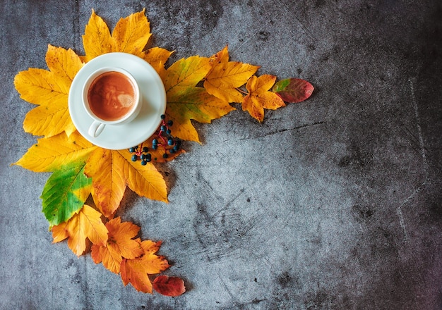 Tasse Kaffee mit gelben Blättern auf Betonhintergrund Herbstdekoration