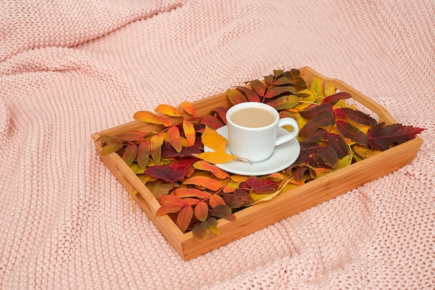 Tasse Kaffee mit Milch und veränderten bunten Blättern auf hölzernem Behälter auf rosa Plaid. Konzept Herbst gemütlich