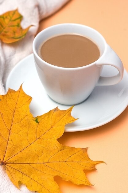 Tasse Kaffee weißer gestrickter Damenpullover oder warmes Plaid auf Hintergrundkopienraum Herbst-Herbst-Konzept ...