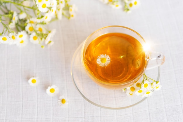 Tasse Kräutertee mit Kamillenblüten