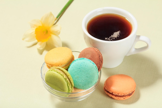 Tasse schwarzen Kaffee und köstliche Macarons-Kuchen unterschiedlicher Farbe in Glasschüssel mit gelber Narzisse im Hintergrund. Ansicht von oben.