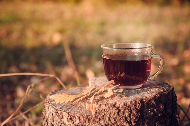 Tasse Tee mit Herbstlaub