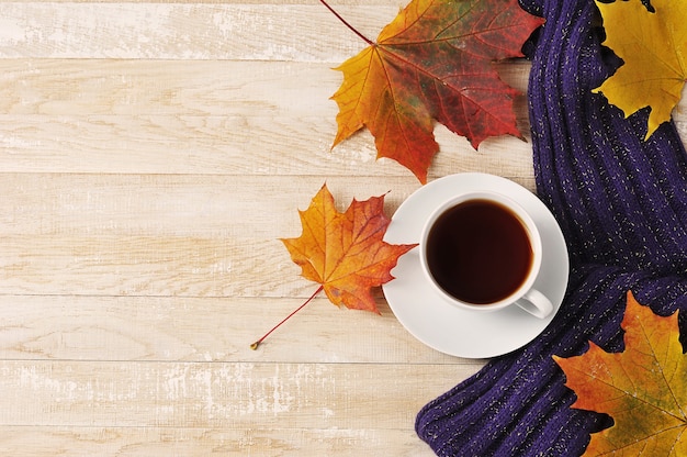 Tasse Tee mit Schal und Herbstahornblättern - Herbststillleben - Draufsicht