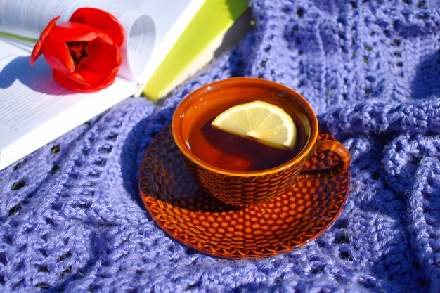 Tasse Tee mit Zitrone auf einem Plaid am Morgen