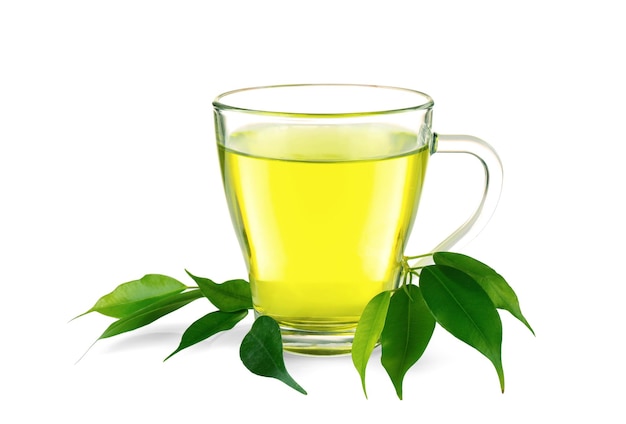 Tasse Tee und grüne Blätter getrennt auf Weiß