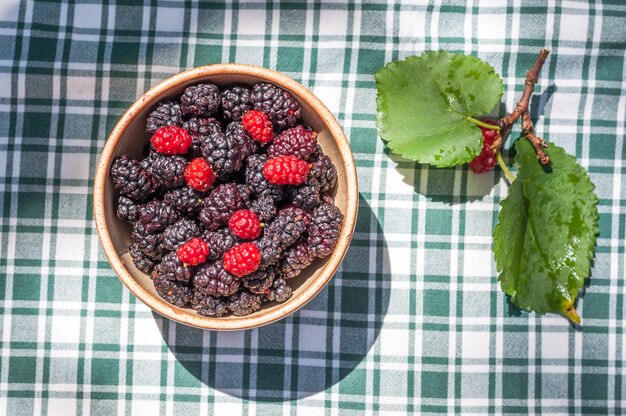 Tasse voller Maulbeeren