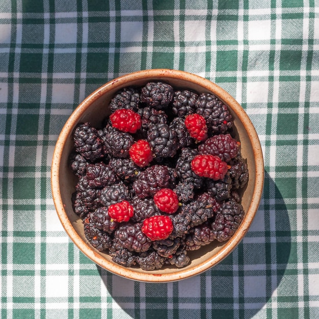 Tasse voller Maulbeeren