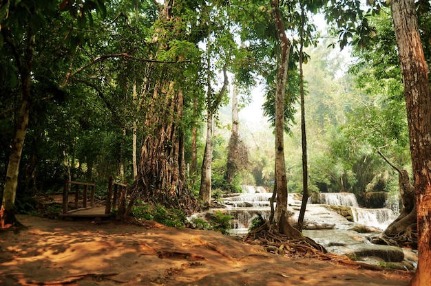 Tat Kuang Si-Wasserfälle oder Kuang Xi-Wasserfälle für Laoten und ausländische Reisende, die reisen, besuchen und schwimmende Flachwasserbecken auf einem steilen Hügel im Nationalpark von Luang Prabang Laos spielen