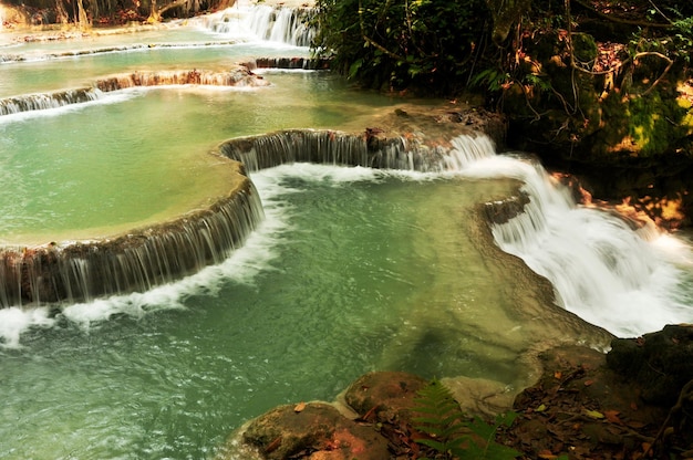 Tat Kuang Si-Wasserfälle oder Kuang Xi-Wasserfälle für Laoten und ausländische Reisende, die reisen, besuchen und schwimmende Flachwasserbecken auf einem steilen Hügel im Nationalpark von Luang Prabang Laos spielen