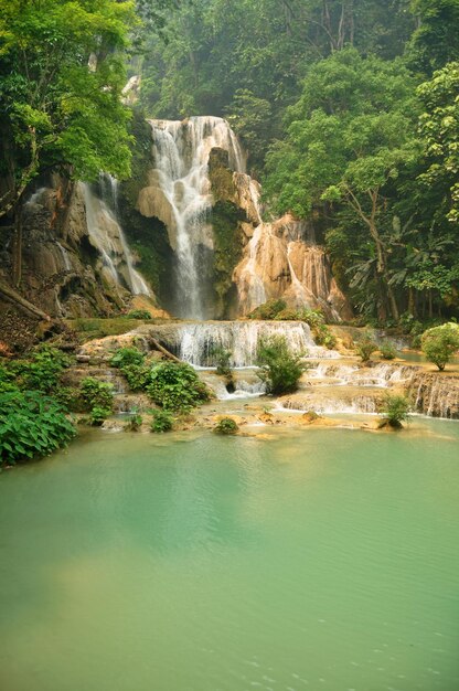 Tat Kuang Si Waterfalls o Kuang Xi Falls para los laosianos y los viajeros extranjeros que viajan, visitan y juegan en piscinas de aguas poco profundas en lo alto de una empinada ladera en el parque nacional de Luang Prabang Laos