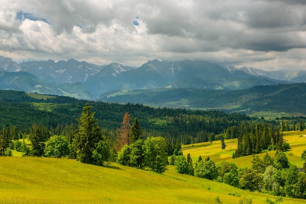 Tatra-Gebirge Landschaft üppige grüne Wiesen und Bäume im Sommer