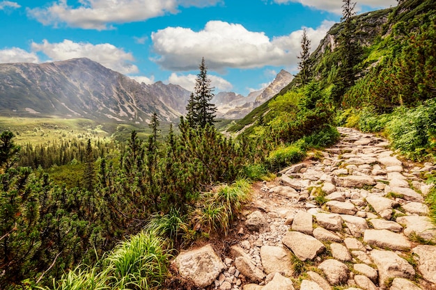 Tatra-Nationalpark in Polen Panorama der Tatra-Berge Wandern im Gasienicowa-Tal Hala Gasienicowa nach Czarny Staw Gasienicowy in der Nähe von Kasprowy Wierch