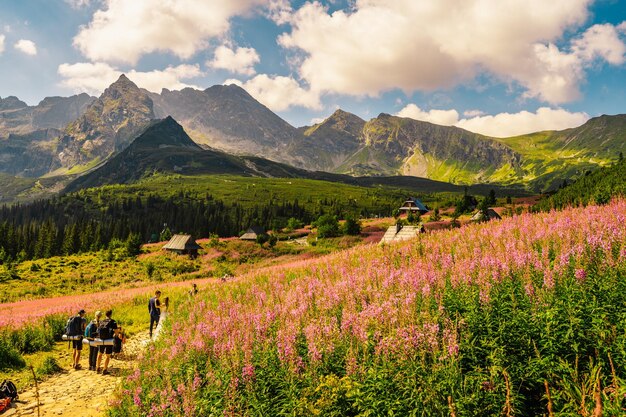 Tatra-Nationalpark in Polen Tatra-Gebirge Panorama Polen bunte Blumen und Hütten im Gasienicowa-Tal Hala Gasienicowa Wandern in der Natur in der Nähe von Kasprowy Wierch