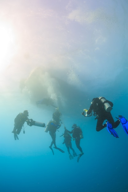 Taucher kehren zum Schiff Rotes Meer zurück