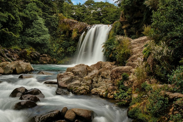 Tawhai Falls, uma cascata de floresta rochosa no Parque Nacional da Nova Zelândia