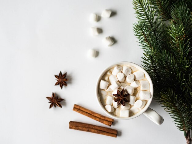 Taza blanca con cacao con especias y malvaviscos