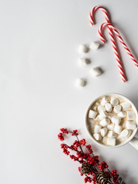 Taza blanca con cacao con especias y malvaviscos