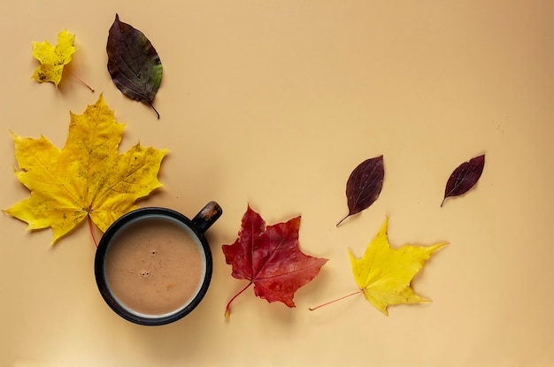 Una taza de cacao y hojas de otoño sobre un beige.