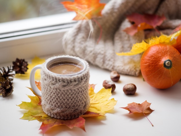 Una taza de café caliente en un suéter de punto en la ventana de otoño con hojas de arce y una cálida bufanda de punto