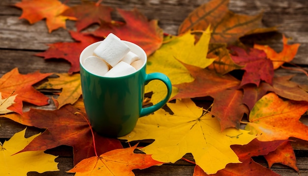 Taza de café de capuchino y malvaviscos hojas de otoño en la superficie de los viejos tablones de madera oscura.