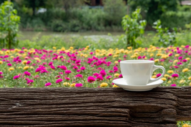 taza de café de cerámica blanca en la naturaleza