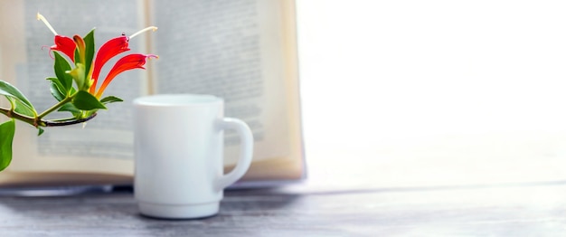 Taza de café cerca de un libro abierto y una maceta