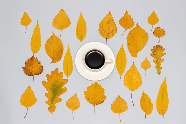 Taza de café y colección, conjunto de hojas amarillas de otoño en gris, fondo de pantalla de otoño