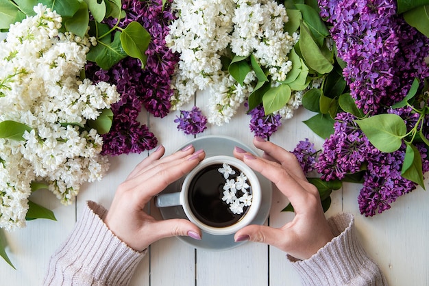 Taza de café con flores lilas y manos femeninas endecha plana cafetería de fondo blanco