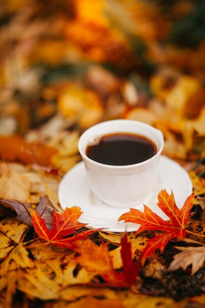 Taza de café en hojas de otoño
