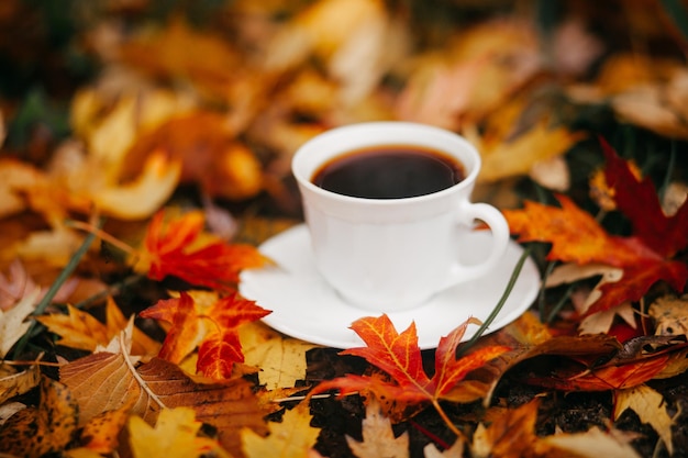 Taza de café en hojas de otoño