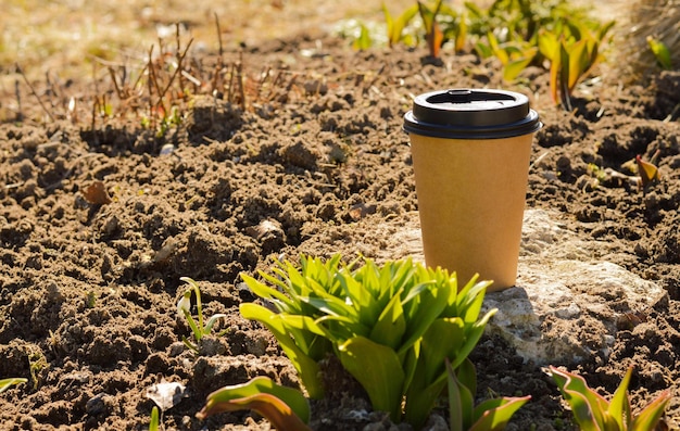 Una taza de café por la mañana en el jardín soleado a principios de primavera El concepto de pacificación relajación vida pacífica