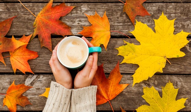 La taza de café en manos heladas. en la superficie de las hojas amarillas de otoño. Sobre superficie oscura de madera.