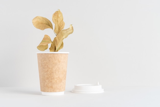Taza de café de papel ecológico con hermosa planta dentro del concepto de desperdicio cero