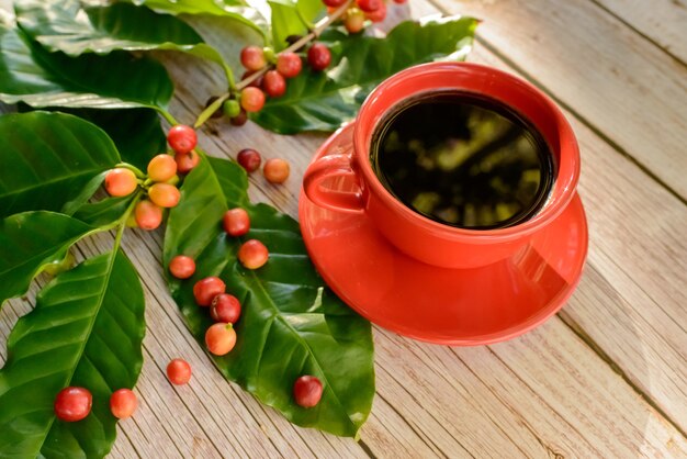 Taza de café roja con hojas y semillas de café en la vista superior de la mesa de madera