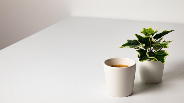 Foto una taza de café se sienta en una mesa blanca al lado de una planta con una hoja verde.