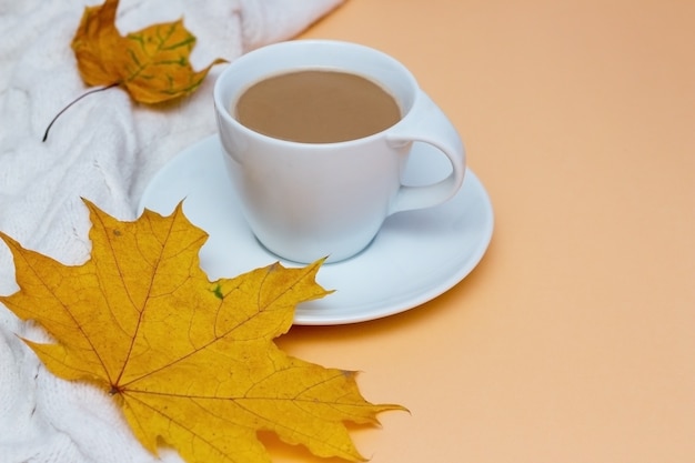 Taza de café suéter de mujer de punto blanco o cuadros cálidos en otoño de espacio de copia de fondo