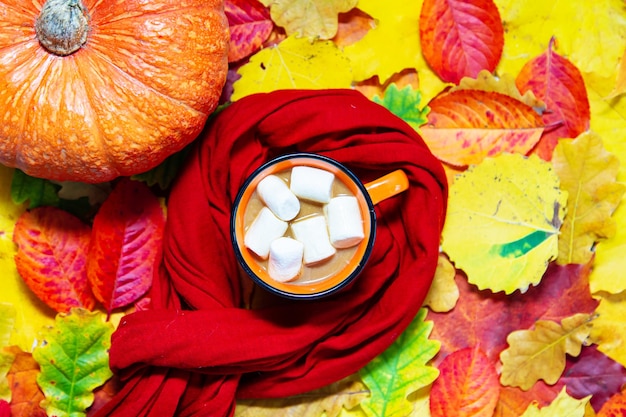 Taza de calabaza de cacao y una bufanda en coloridas hojas de otoño