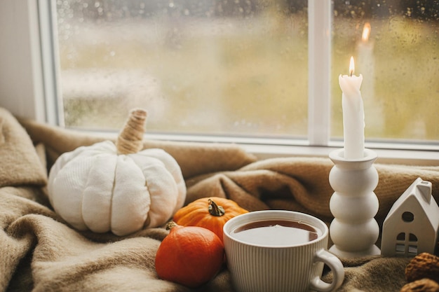 Taza caliente de calabazas de velas de té en una manta acogedora contra la ventana con gotas de lluvia Caída de Moody