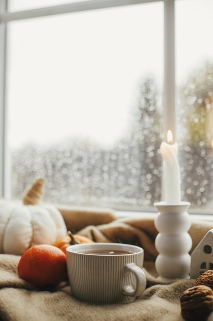 Taza caliente de calabazas de velas de té en una manta acogedora contra la ventana con gotas de lluvia Caída de Moody