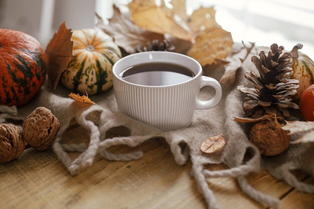 Taza caliente de té calabazas hojas de otoño conos bufanda acogedora en mesa de madera rústica en casa de campo Caída acogedora en casa rural Feliz Acción de Gracias Otoño hygge bodegón banner