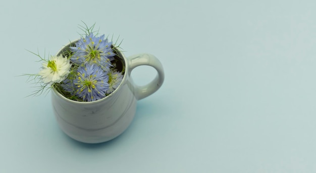 Taza de cerámica azul llena de flores de nigella damascena