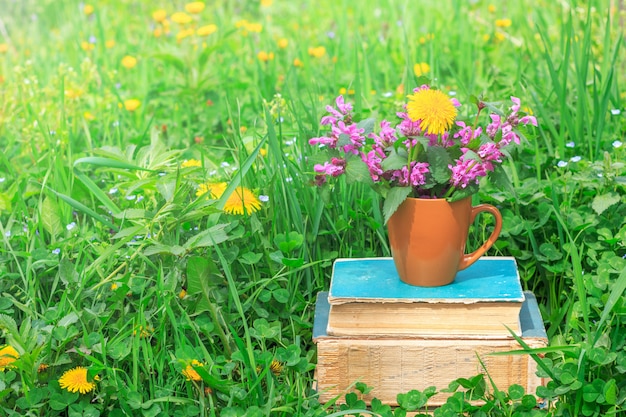 Taza de cerámica con plantas con flores en una pila de libros antiguos en un claro con un trébol verde