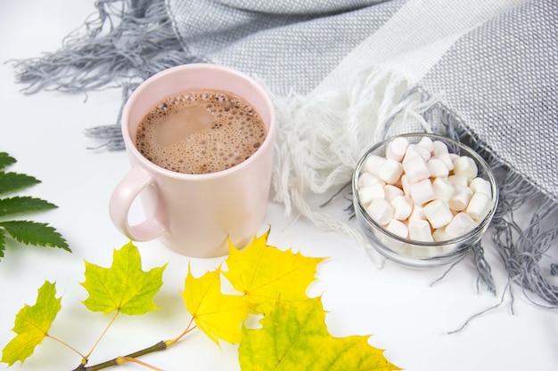 Taza de chocolate caliente con malvaviscos sobre un fondo de hojas de otoño.